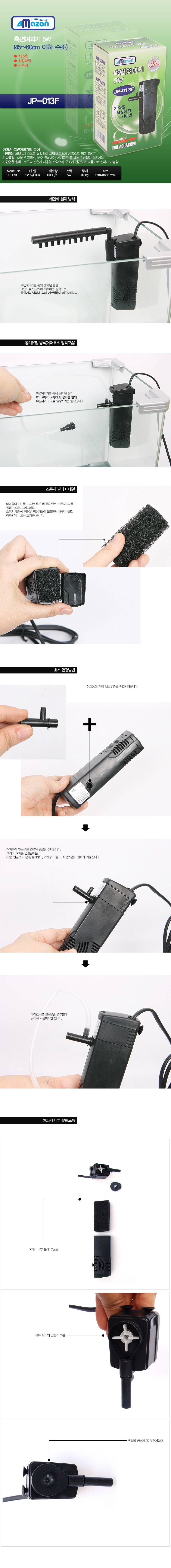 아마존 측면 5w