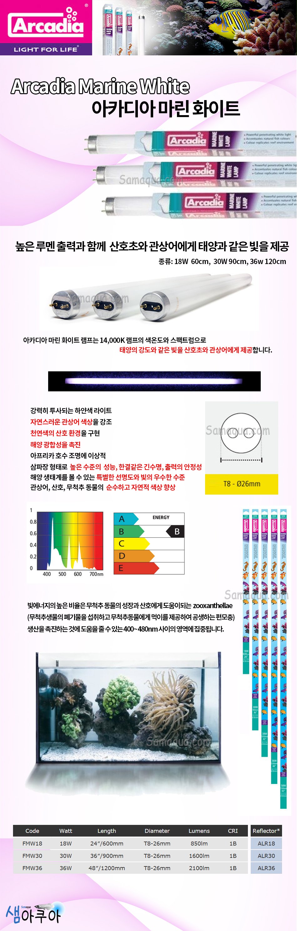 마린 화이트