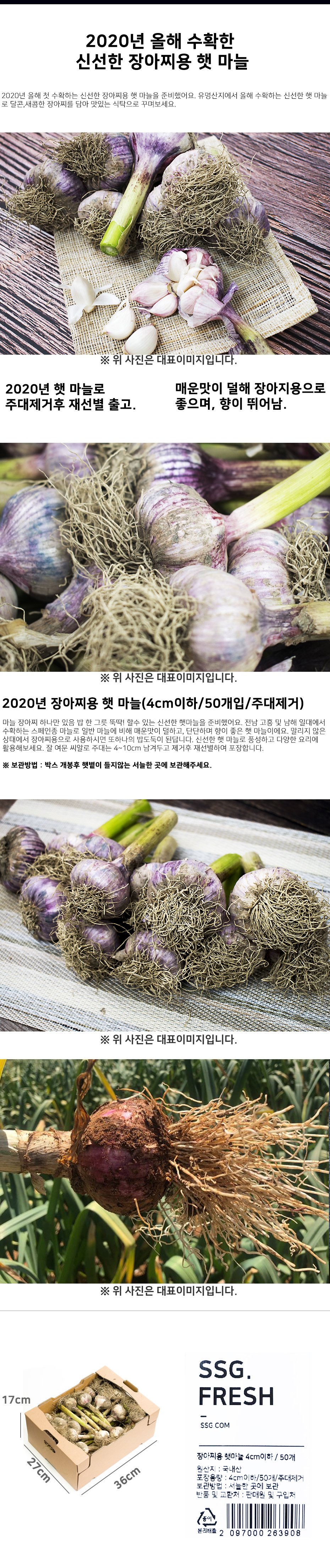 2020년 장아찌용 햇 마늘 4cm이하/50개/주대제거