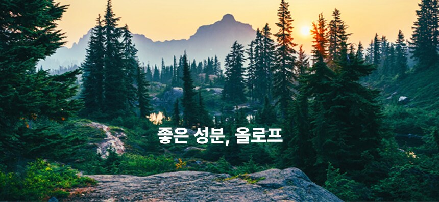 좋은성분