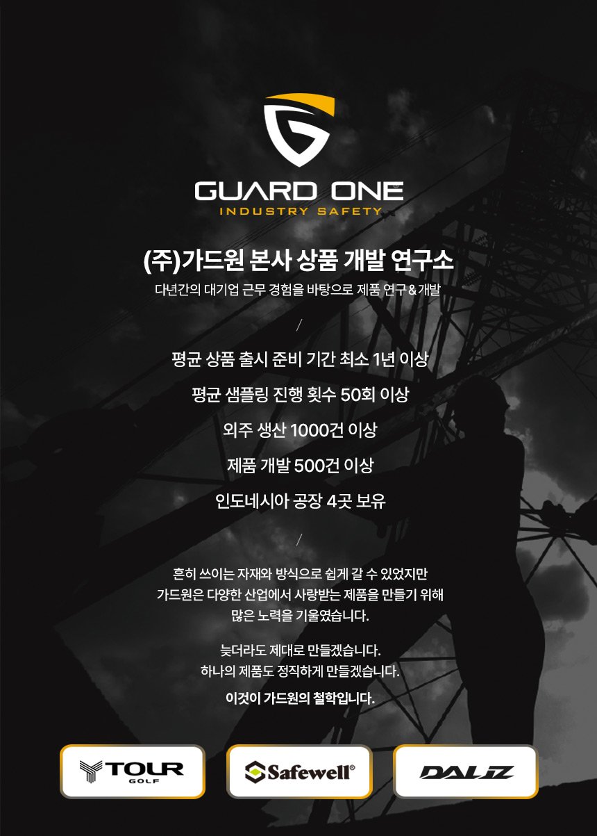 달리즈