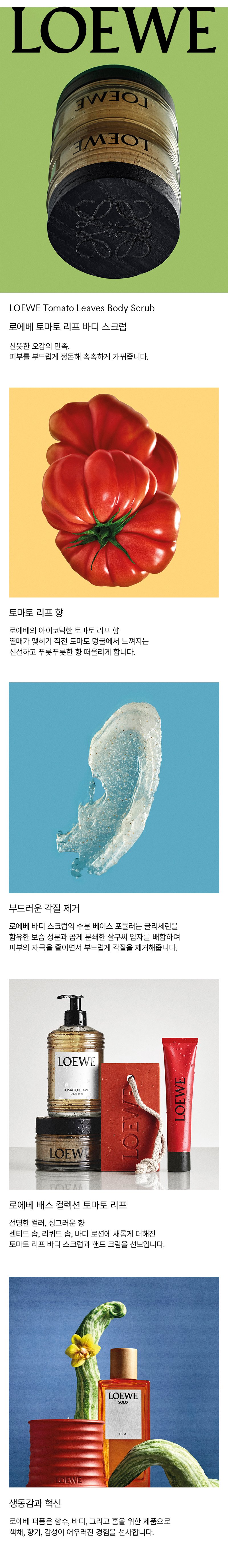 토마토 리프 바디 스크럽 200ML