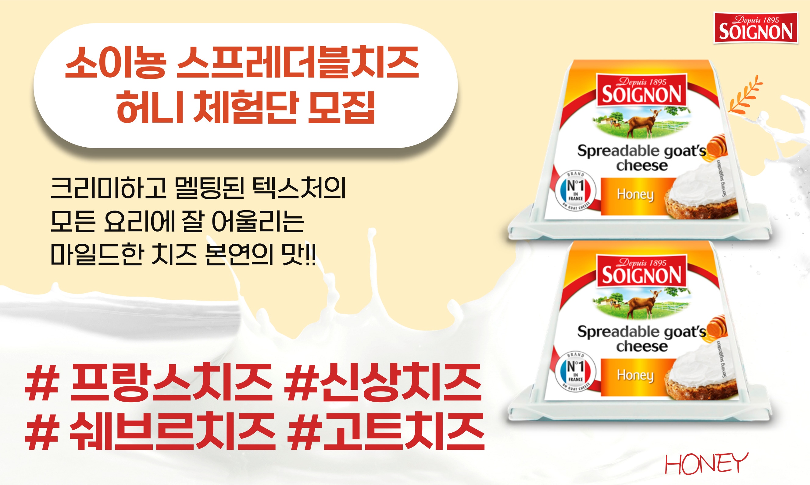 소이뇽 허니 체험단 모집
