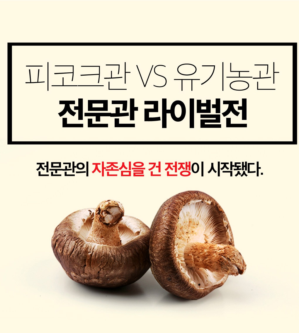 피코크관VS유기농관 전문관 라이벌전